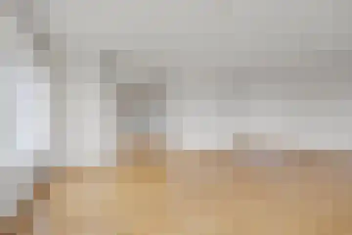 Koriander 8 Heinkenszand thumbnail 11