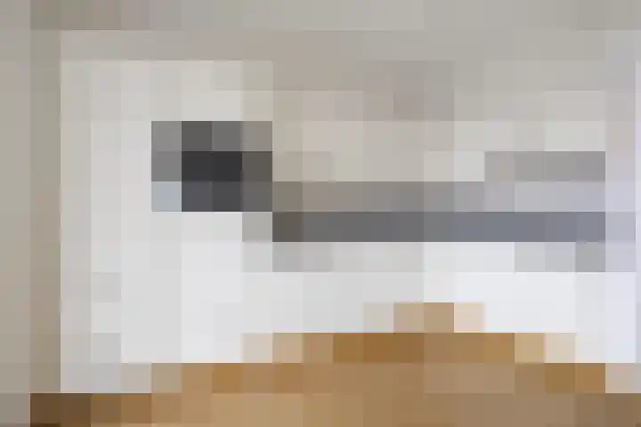 Koriander 8 Heinkenszand thumbnail 13