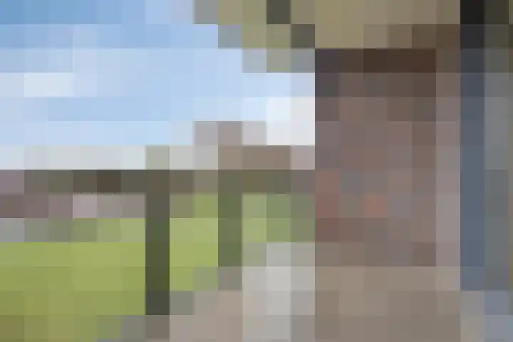 Koriander 8 Heinkenszand thumbnail 14