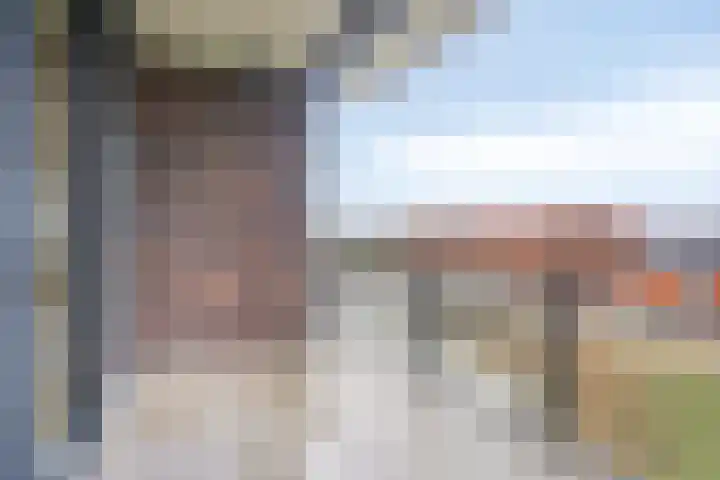 Koriander 8 Heinkenszand thumbnail 15