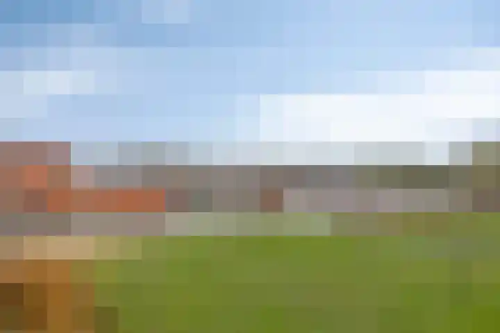 Koriander 8 Heinkenszand thumbnail 16