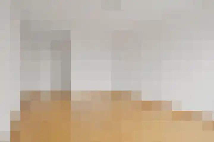 Koriander 8 Heinkenszand thumbnail 18