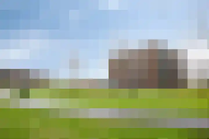Koriander 8 Heinkenszand thumbnail 29
