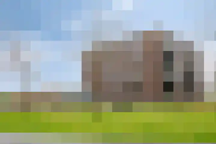Koriander 8 Heinkenszand thumbnail 30
