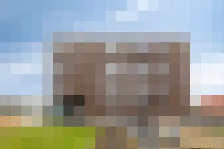 Koriander 8 Heinkenszand thumbnail 31