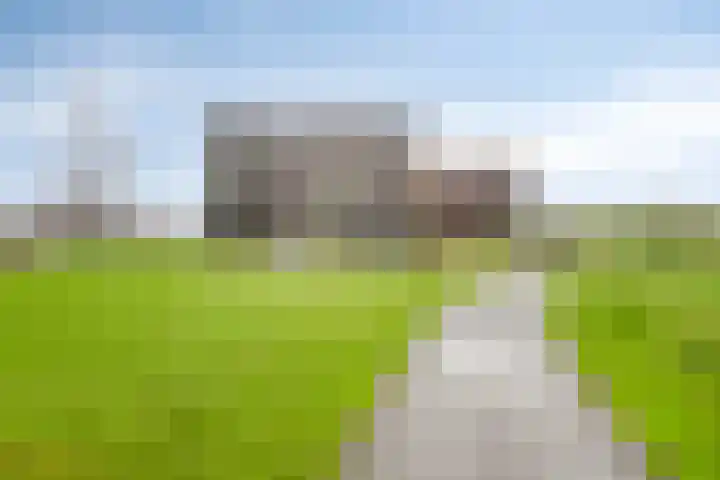 Koriander 8 Heinkenszand thumbnail 32