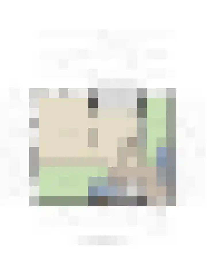 Koriander 8 Heinkenszand thumbnail 5