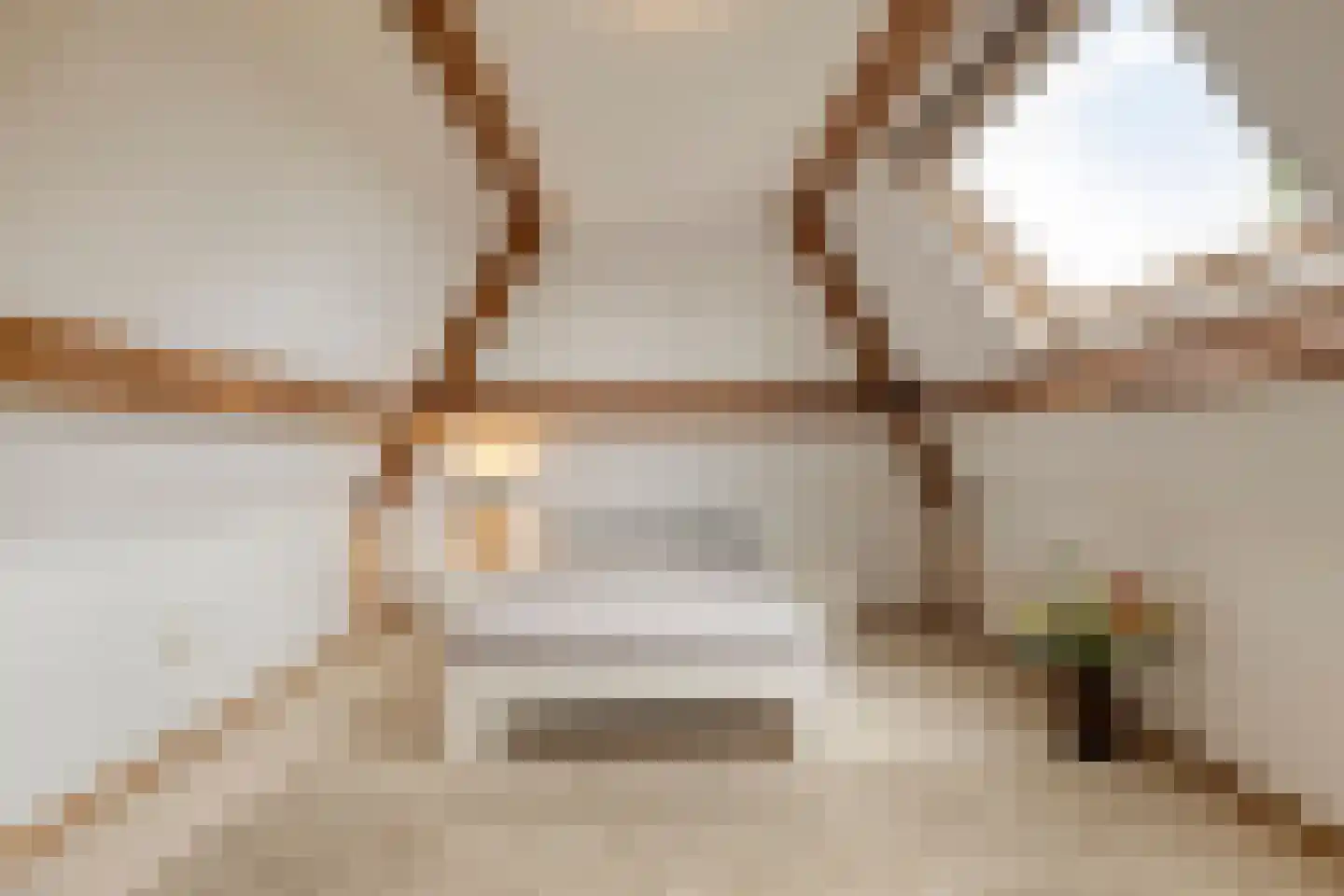 Koriander 8 Sint-Oedenrode thumbnail 10
