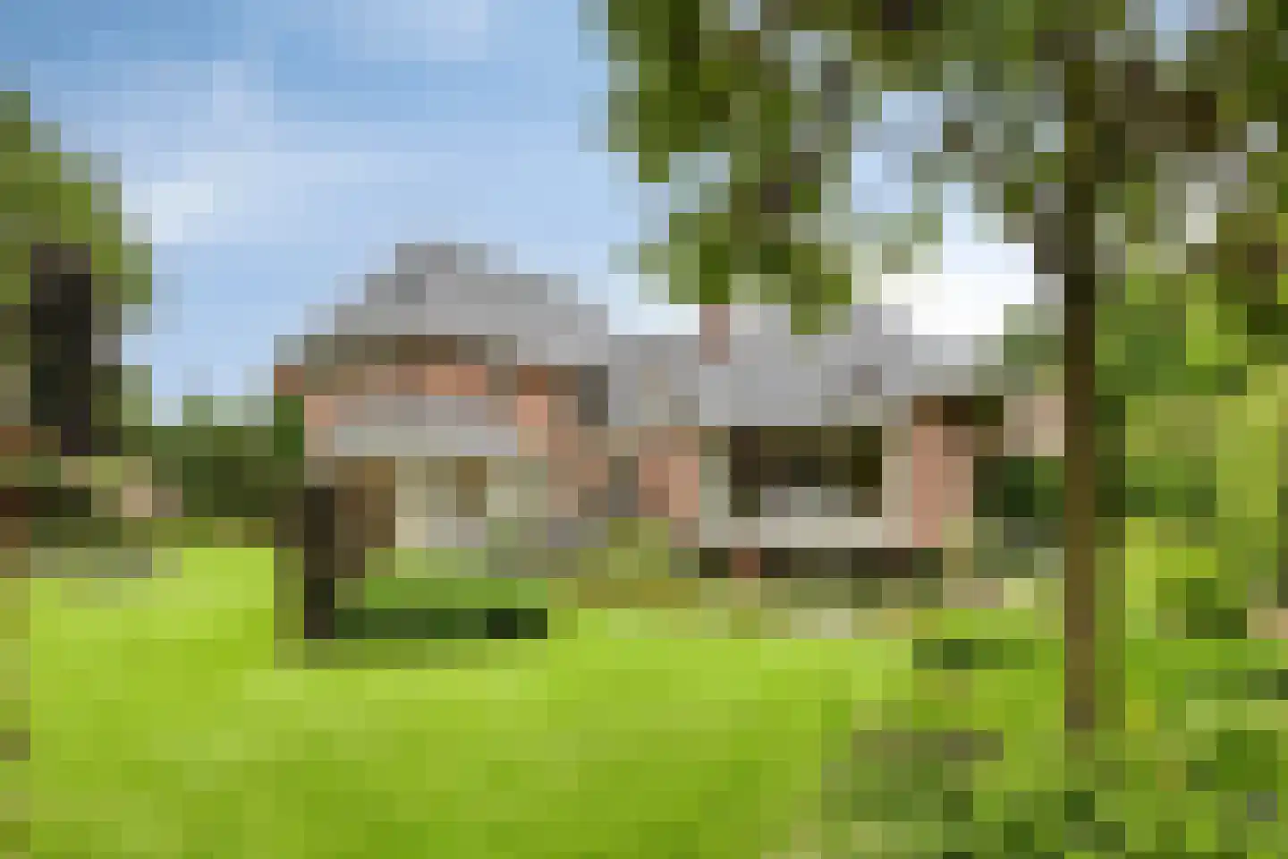 Koriander 8 Sint-Oedenrode thumbnail 102