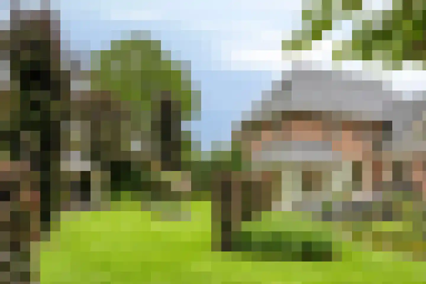 Koriander 8 Sint-Oedenrode thumbnail 103