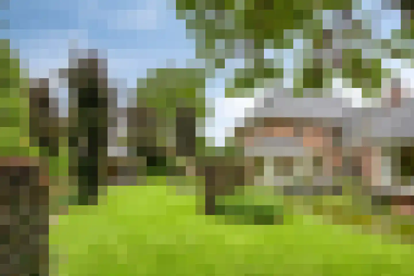 Koriander 8 Sint-Oedenrode thumbnail 104