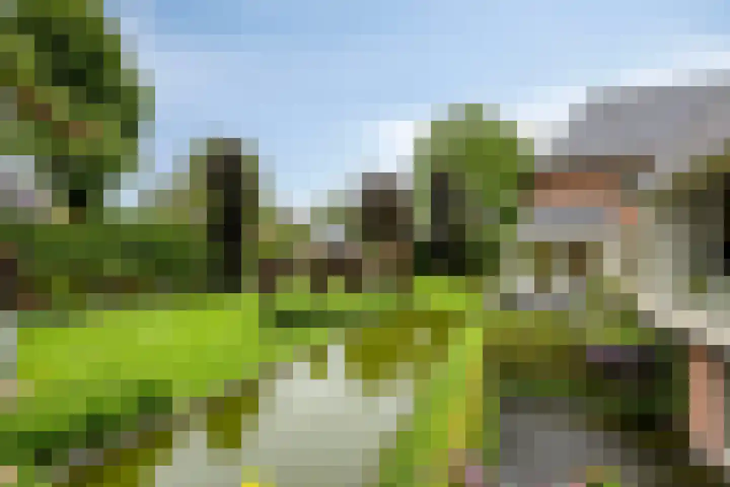 Koriander 8 Sint-Oedenrode thumbnail 107
