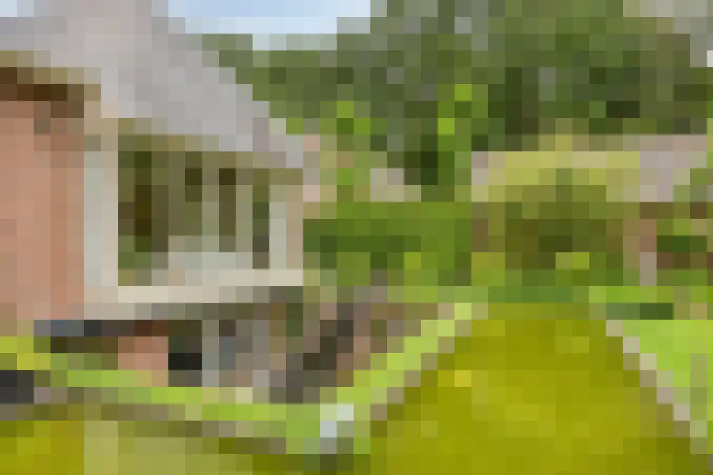 Koriander 8 Sint-Oedenrode thumbnail 108