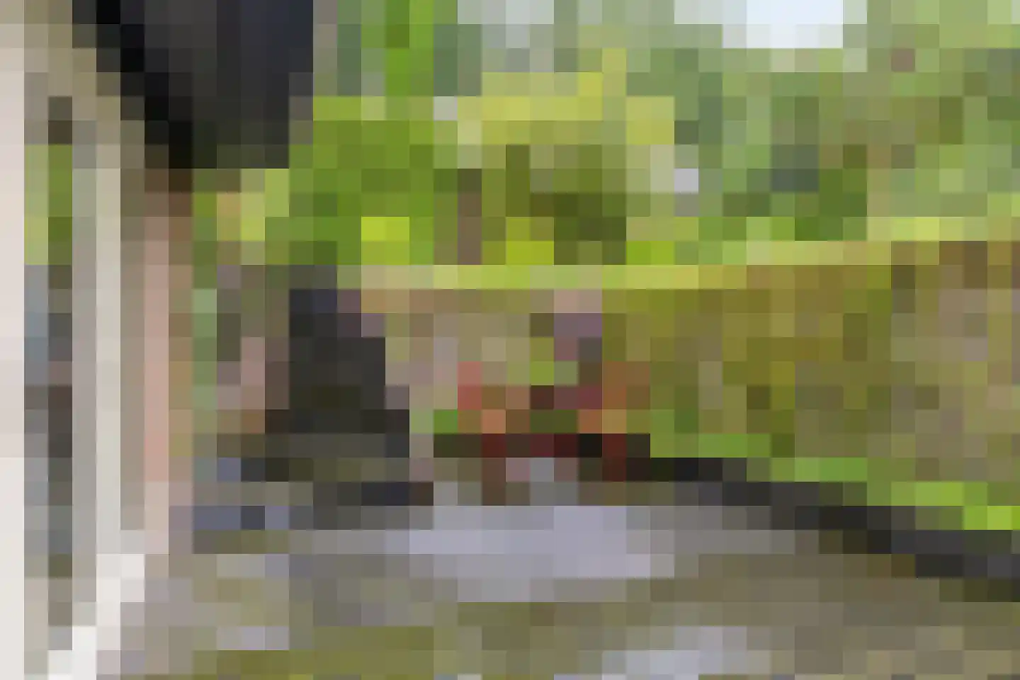 Koriander 8 Sint-Oedenrode thumbnail 109