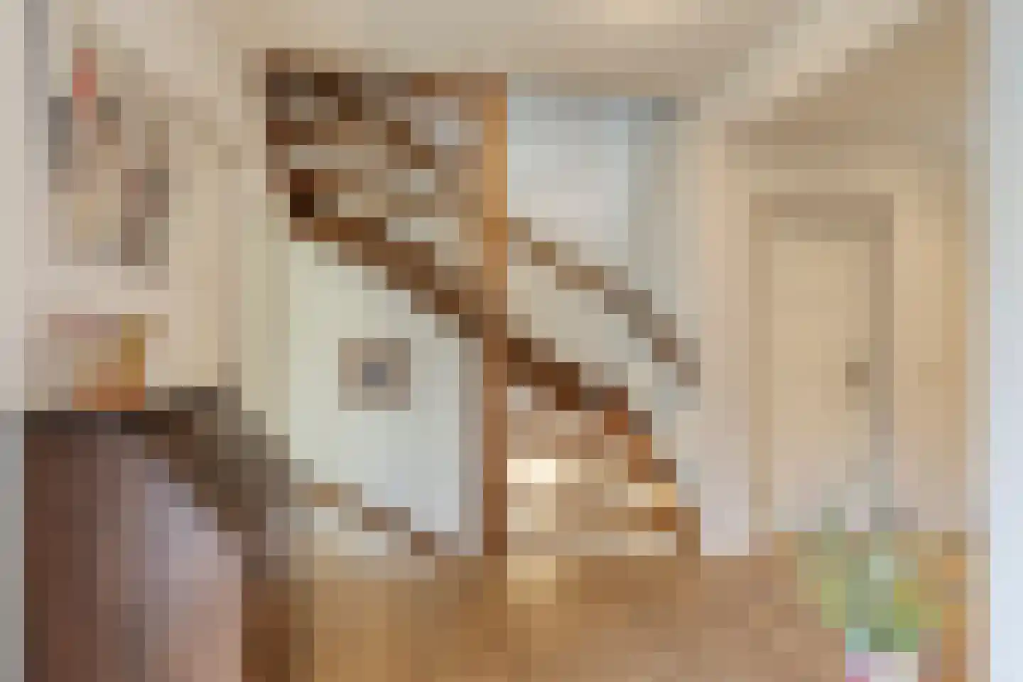 Koriander 8 Sint-Oedenrode thumbnail 11