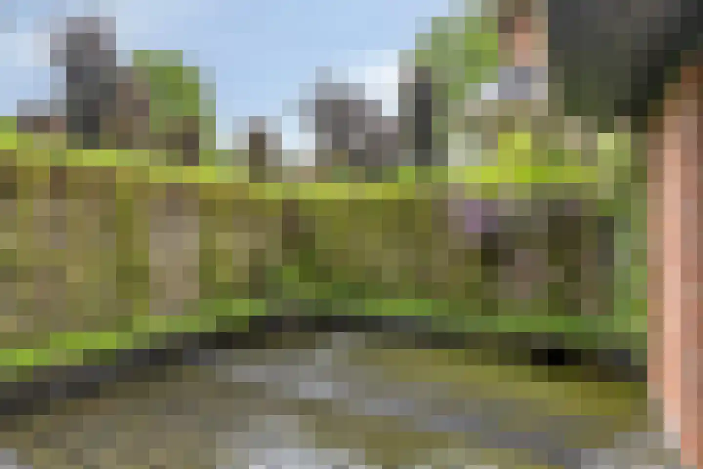Koriander 8 Sint-Oedenrode thumbnail 111