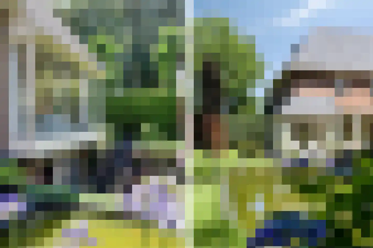 Koriander 8 Sint-Oedenrode thumbnail 112