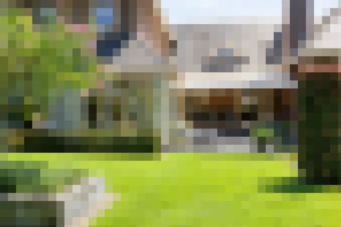 Koriander 8 Sint-Oedenrode thumbnail 113