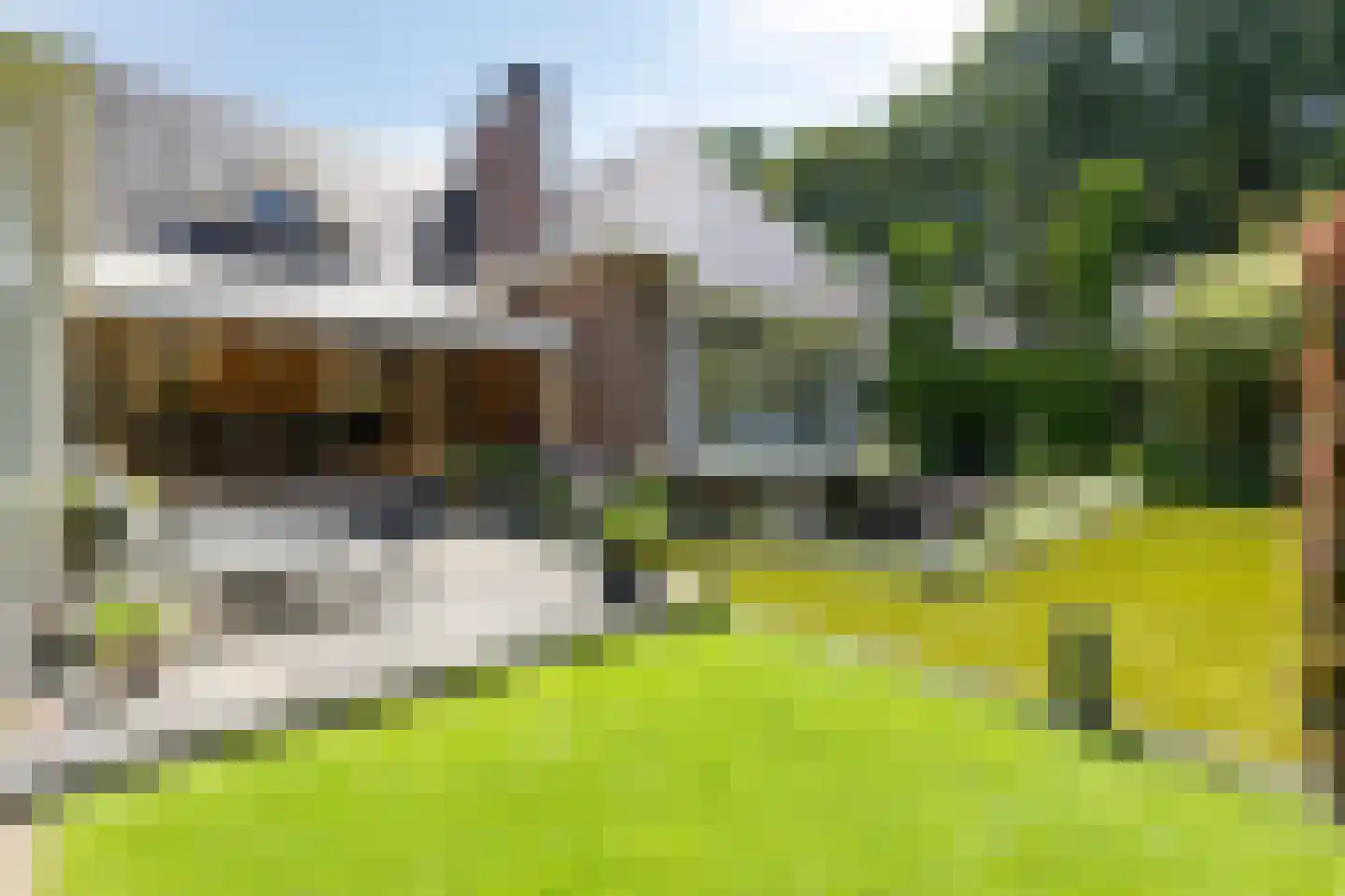 Koriander 8 Sint-Oedenrode thumbnail 114