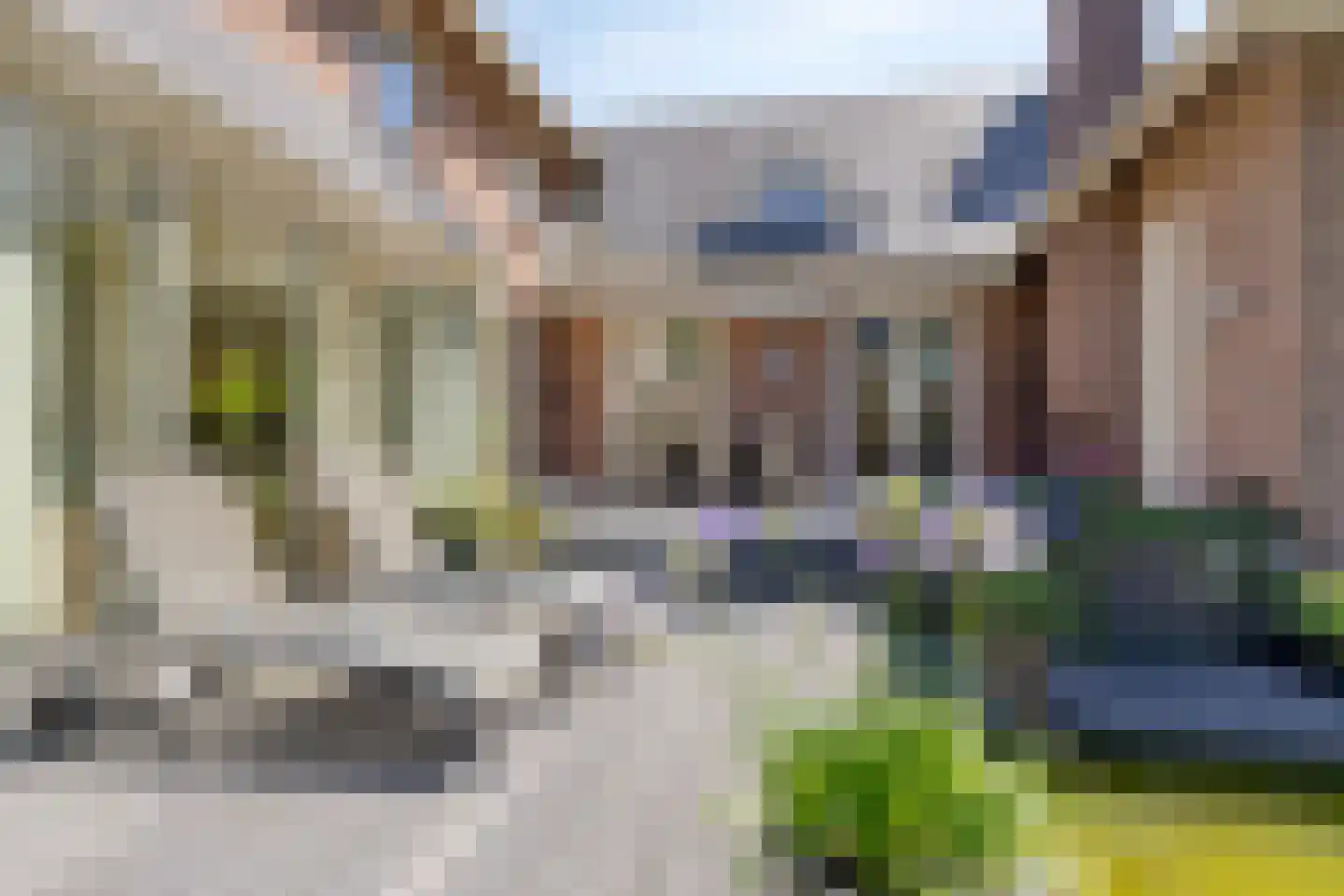 Koriander 8 Sint-Oedenrode thumbnail 116