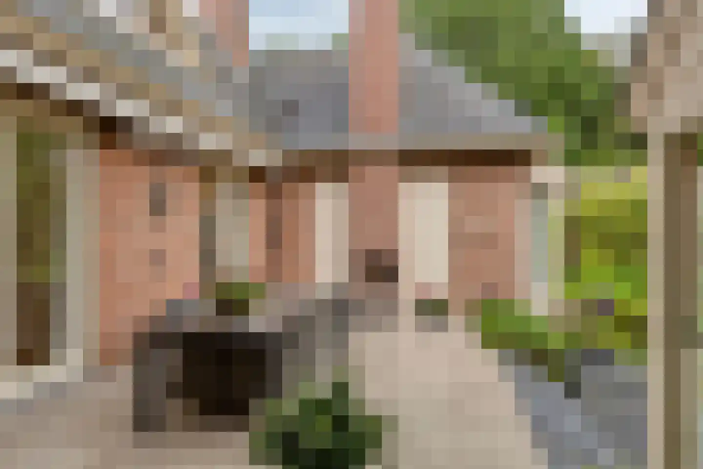 Koriander 8 Sint-Oedenrode thumbnail 117