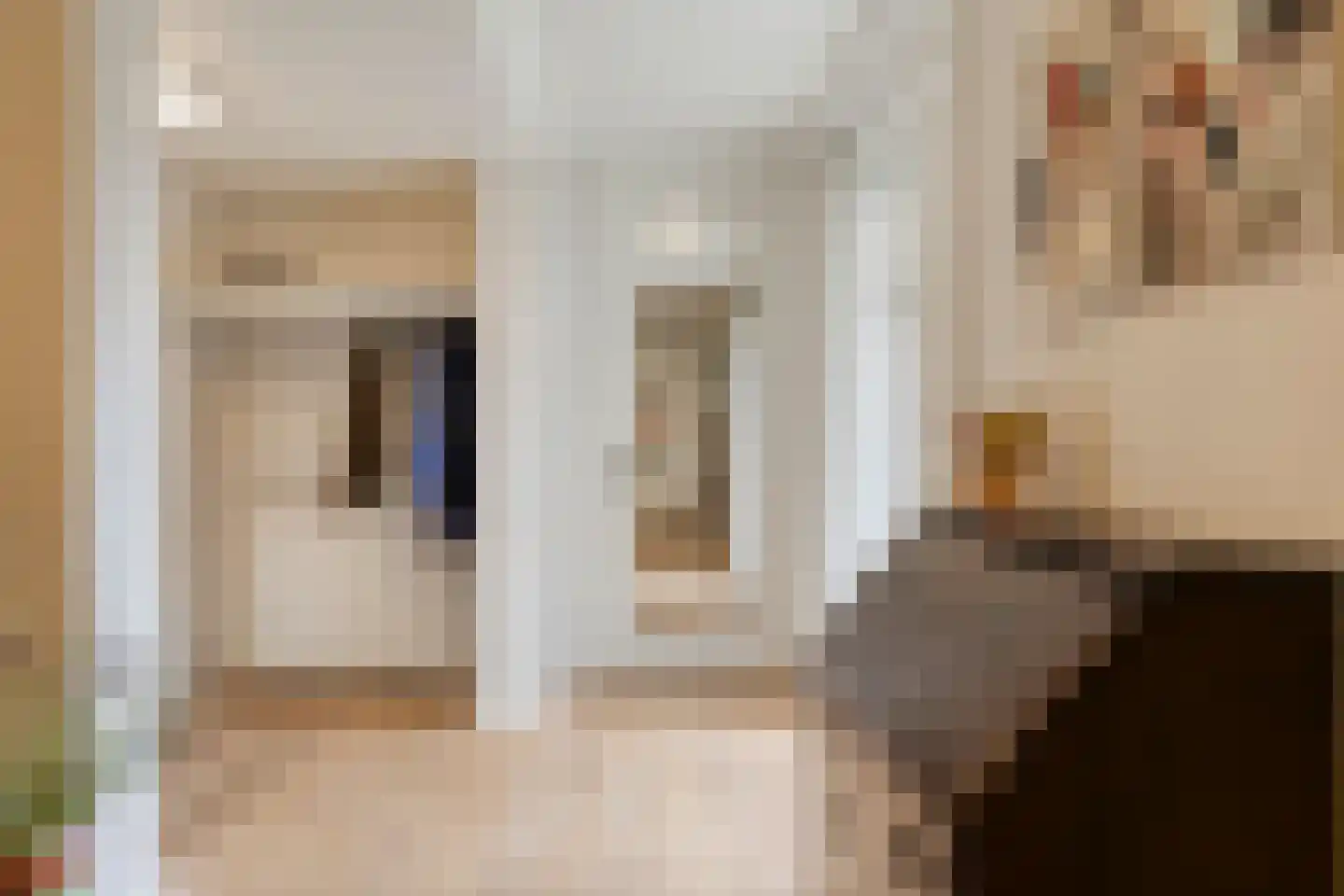 Koriander 8 Sint-Oedenrode thumbnail 12