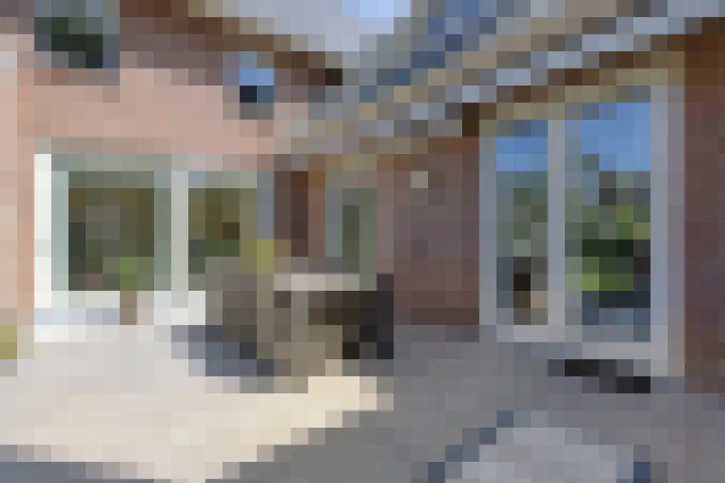 Koriander 8 Sint-Oedenrode thumbnail 120