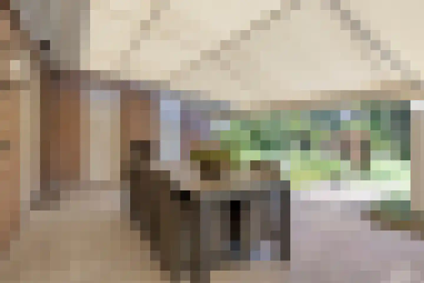 Koriander 8 Sint-Oedenrode thumbnail 121
