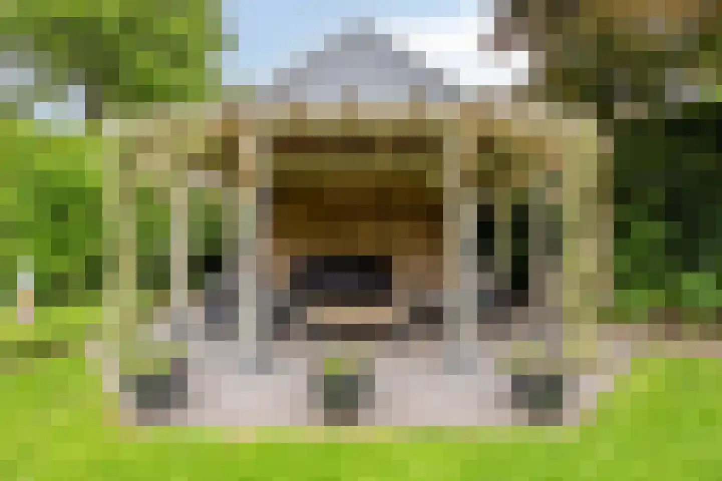 Koriander 8 Sint-Oedenrode thumbnail 122