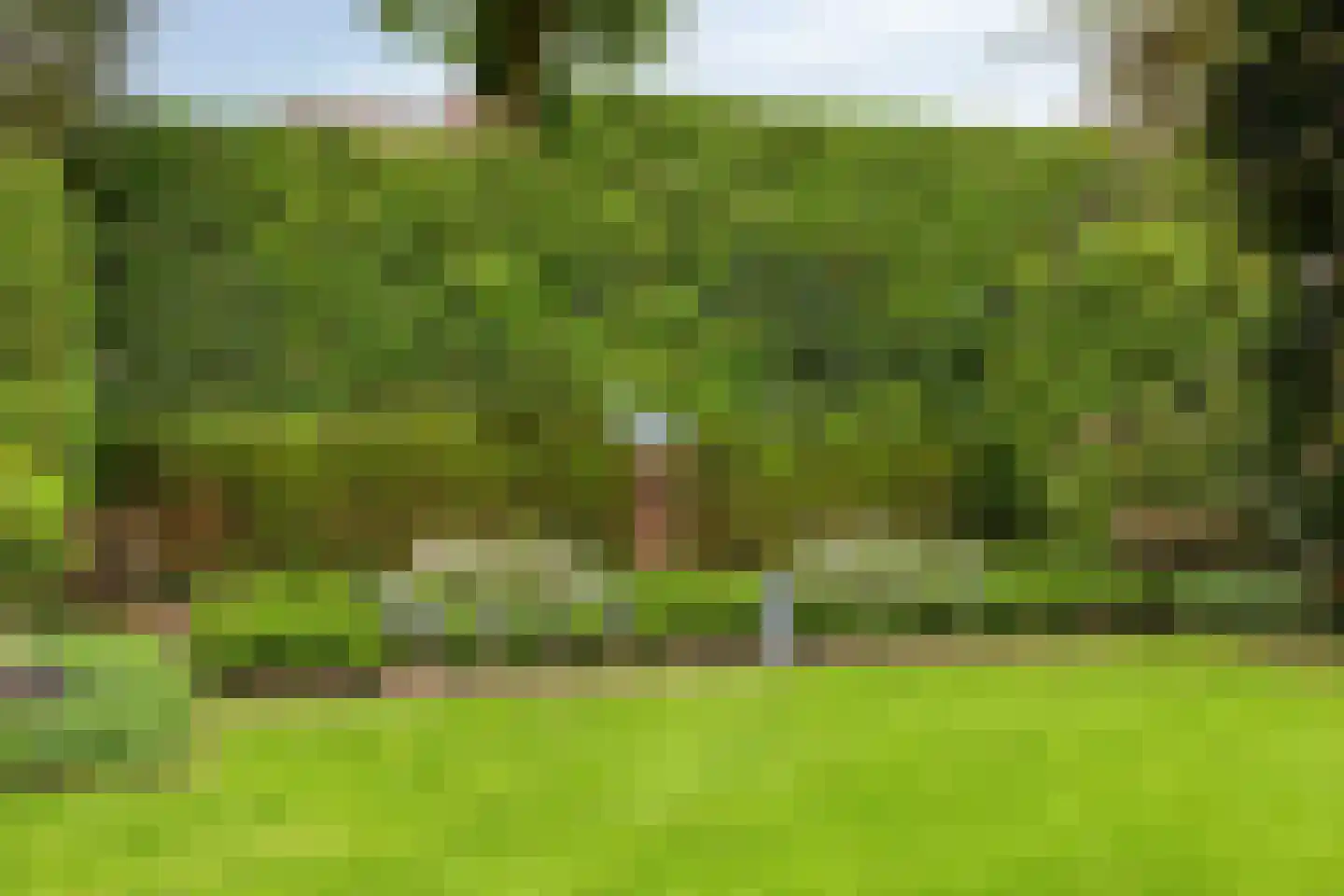 Koriander 8 Sint-Oedenrode thumbnail 125