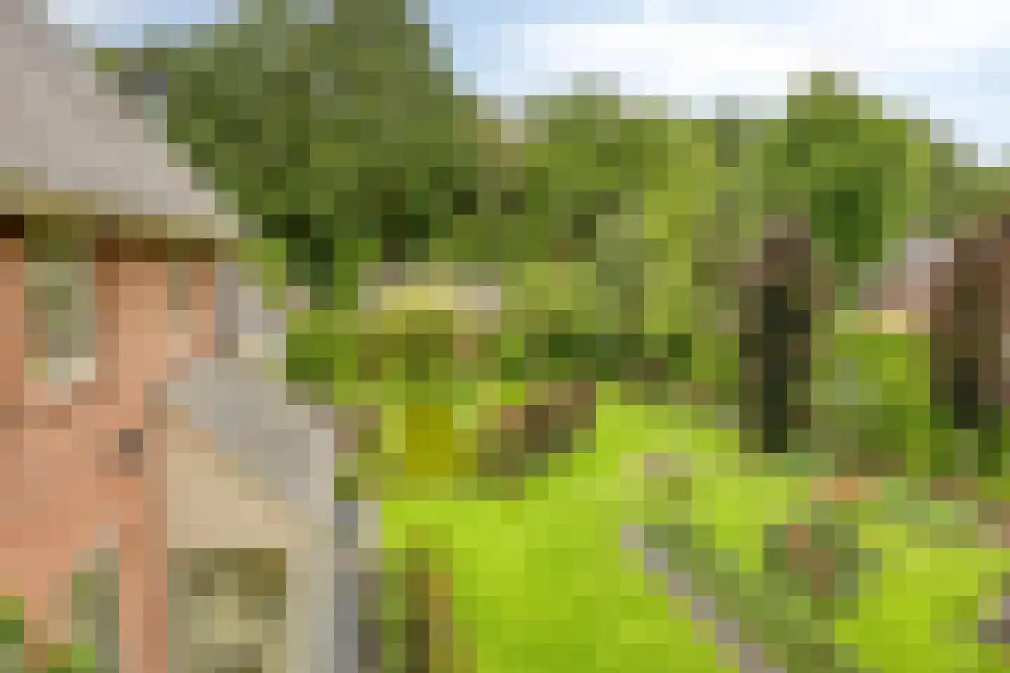Koriander 8 Sint-Oedenrode thumbnail 126