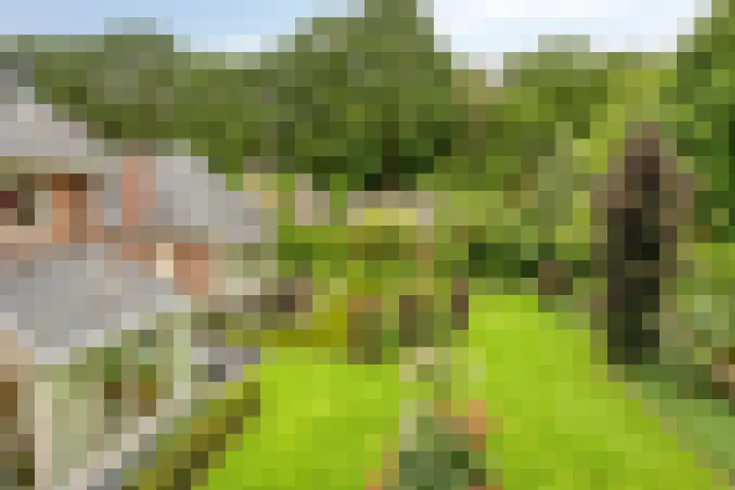 Koriander 8 Sint-Oedenrode thumbnail 127