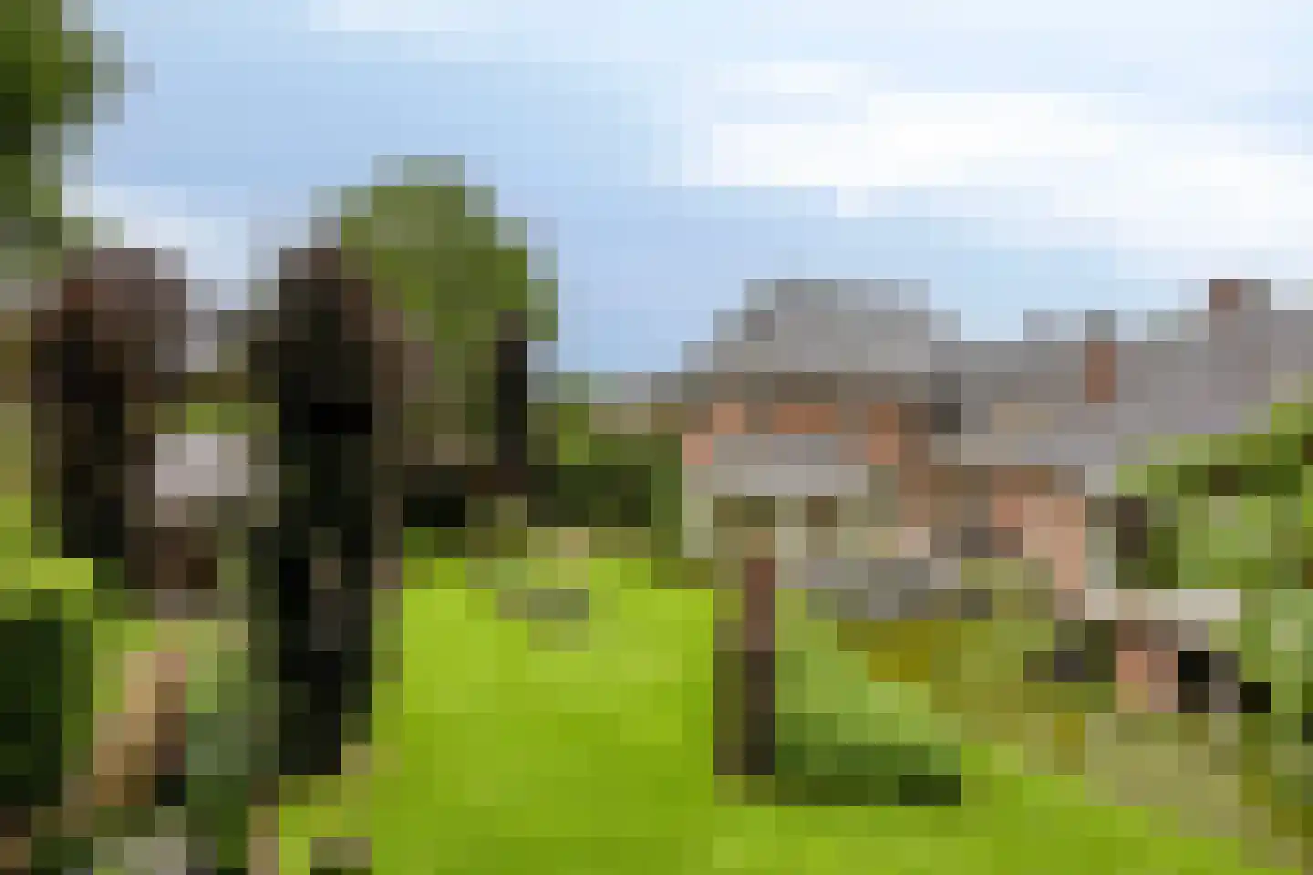 Koriander 8 Sint-Oedenrode thumbnail 129