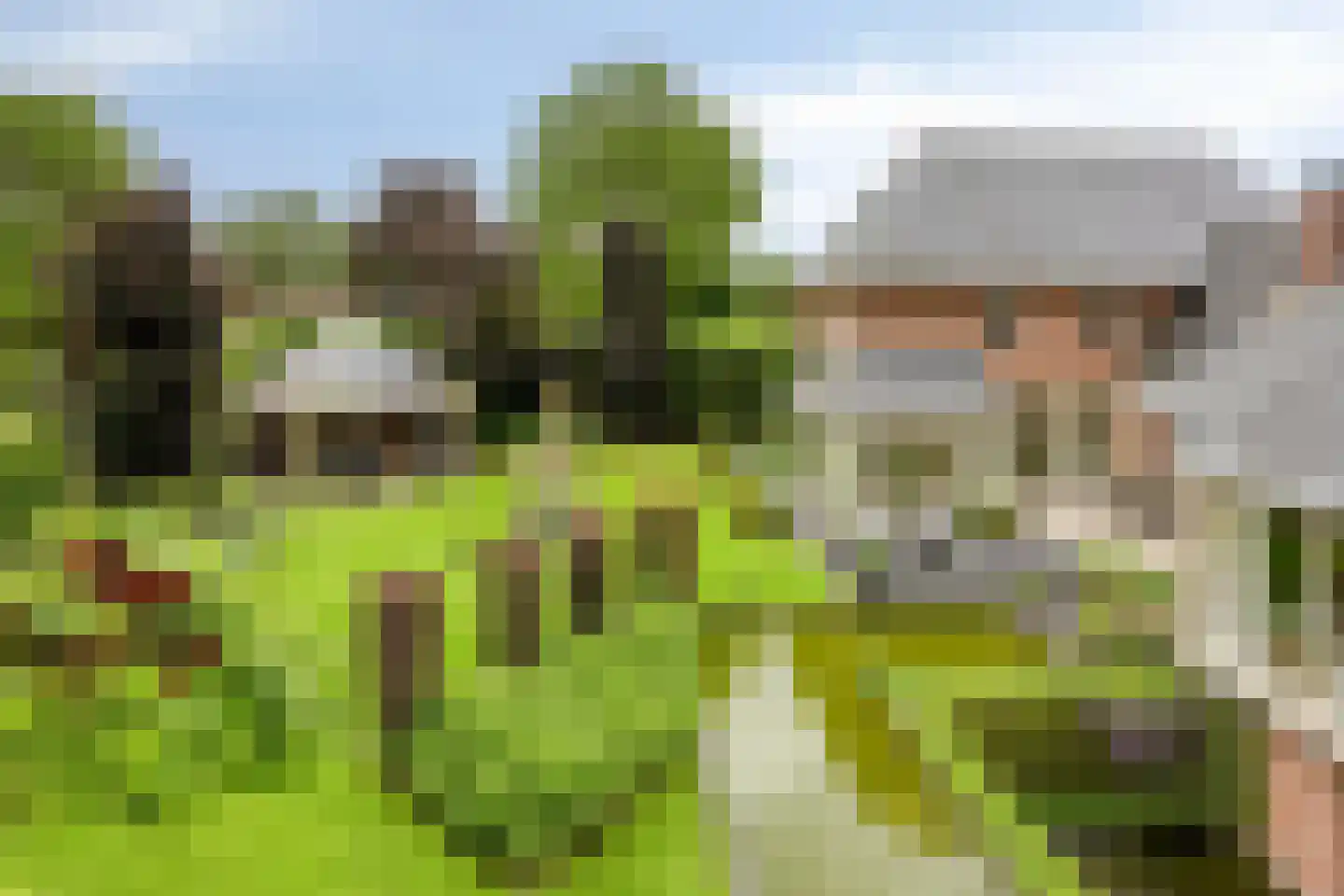 Koriander 8 Sint-Oedenrode thumbnail 130