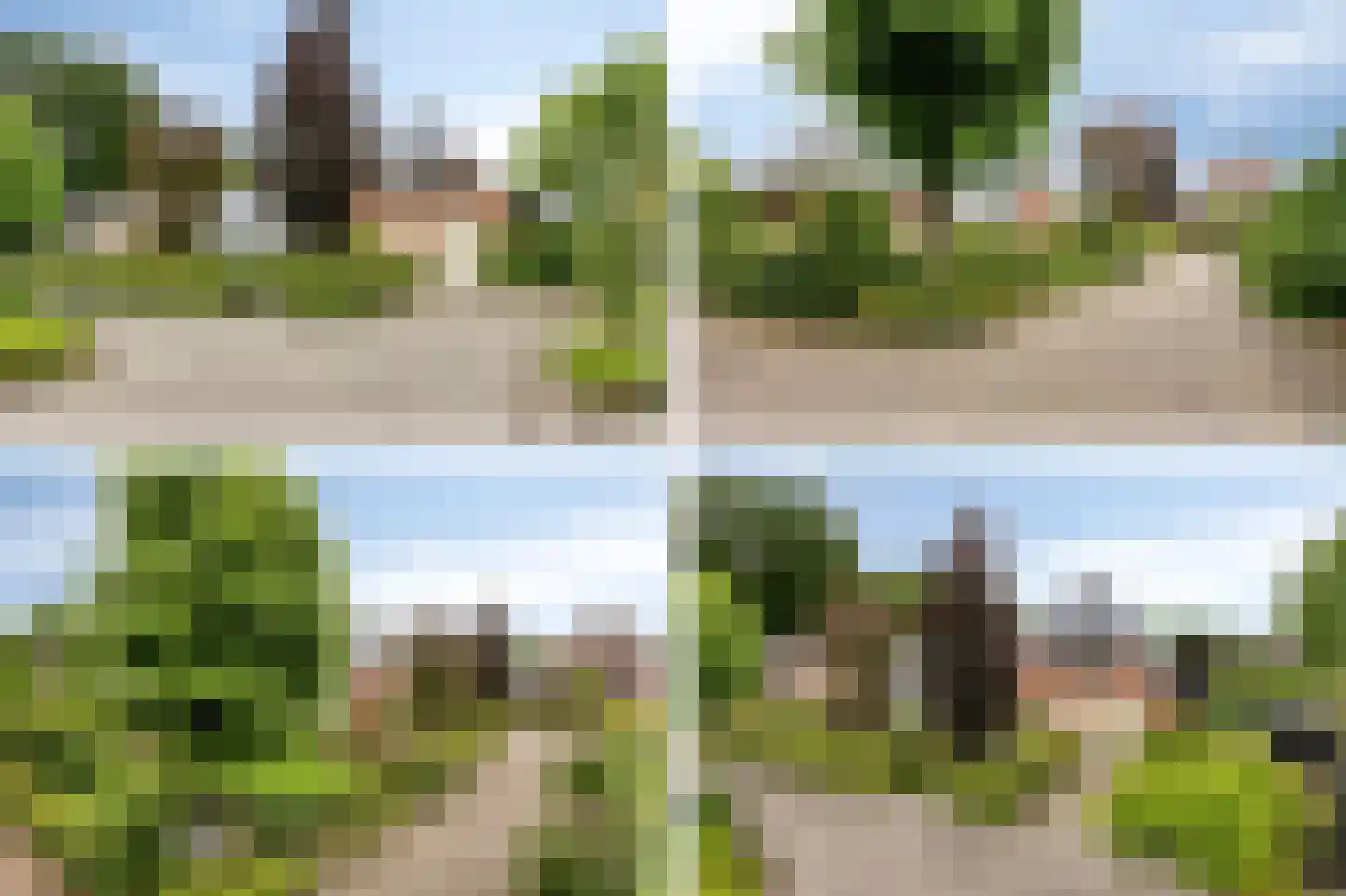Koriander 8 Sint-Oedenrode thumbnail 131