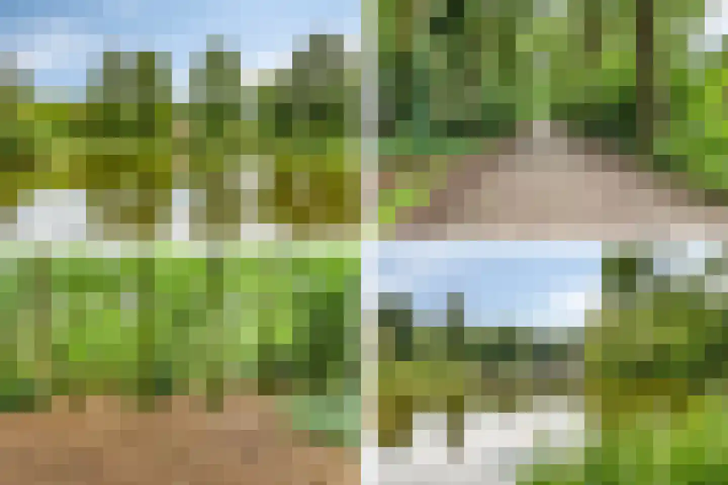 Koriander 8 Sint-Oedenrode thumbnail 137