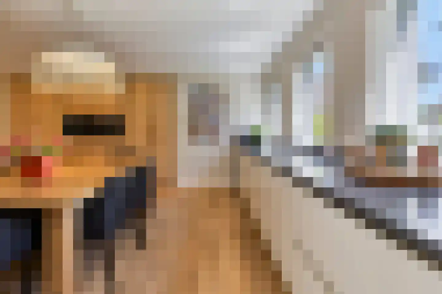 Koriander 8 Sint-Oedenrode thumbnail 20