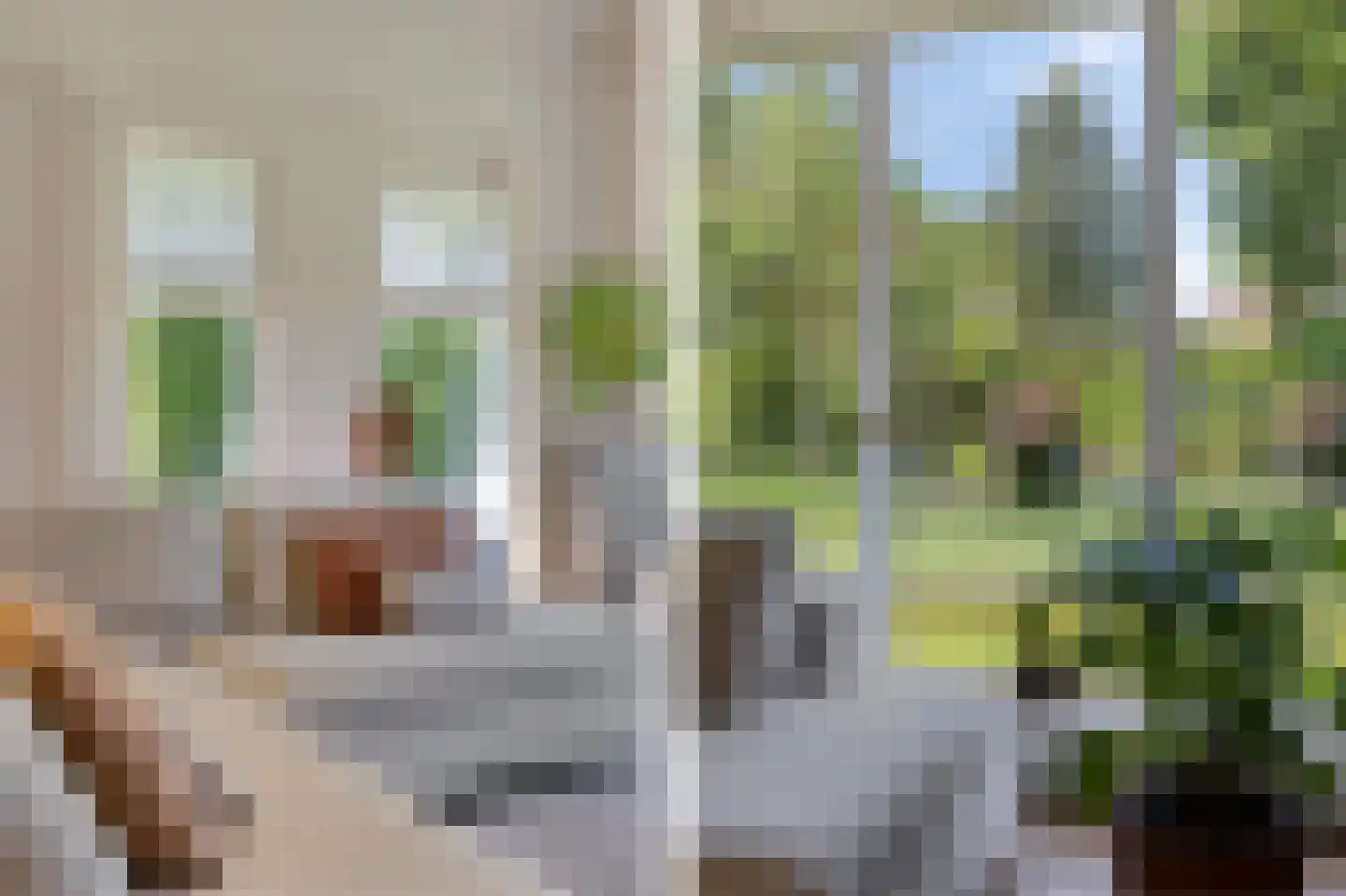 Koriander 8 Sint-Oedenrode thumbnail 24