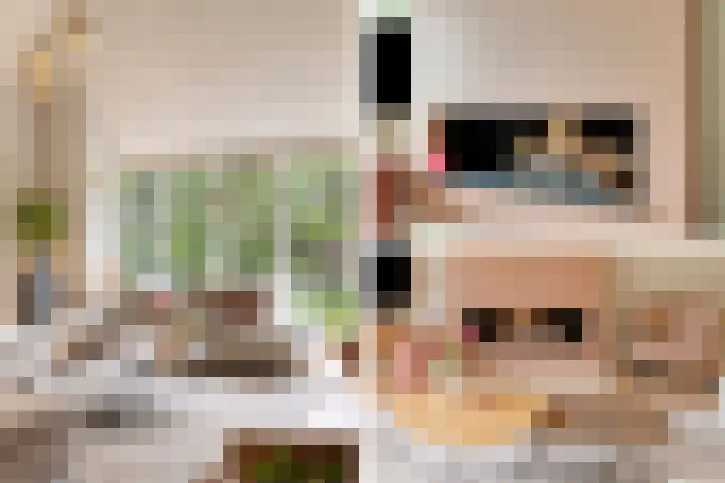 Koriander 8 Sint-Oedenrode thumbnail 25