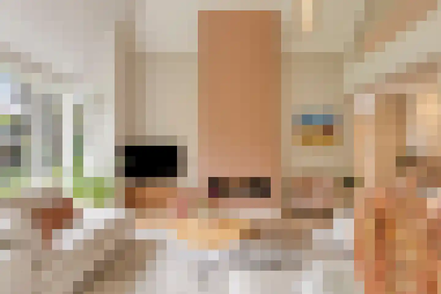 Koriander 8 Sint-Oedenrode thumbnail 26