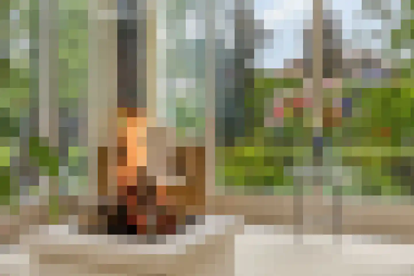 Koriander 8 Sint-Oedenrode thumbnail 39