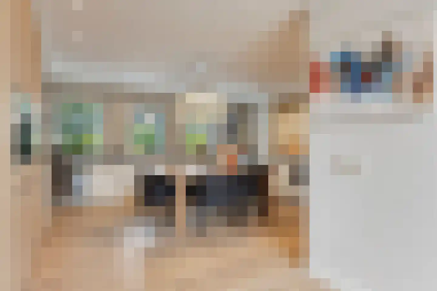 Koriander 8 Sint-Oedenrode thumbnail 4