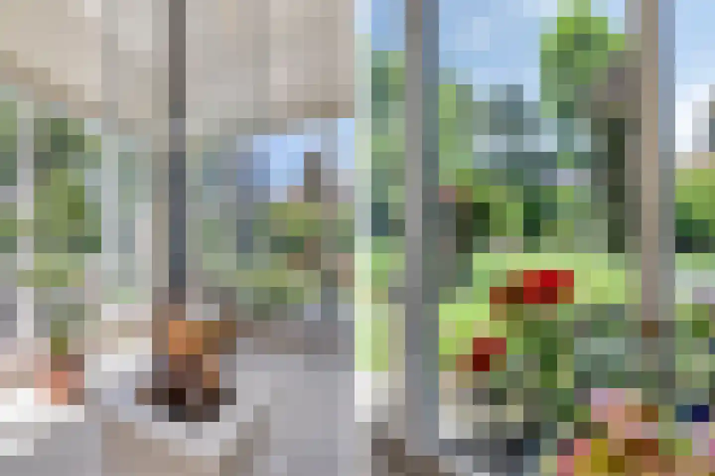 Koriander 8 Sint-Oedenrode thumbnail 41