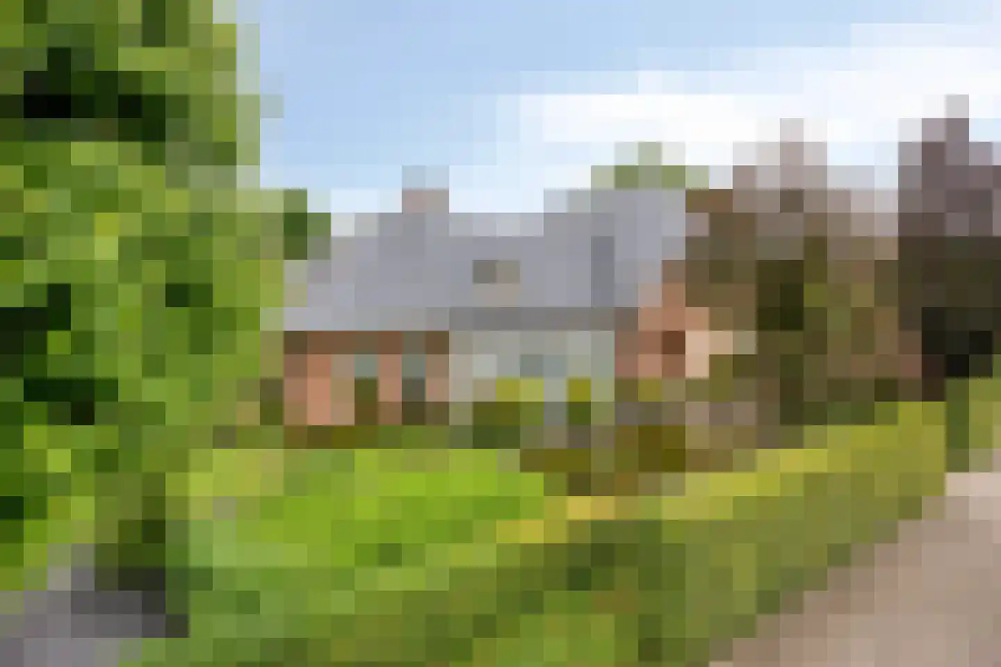 Koriander 8 Sint-Oedenrode thumbnail 6