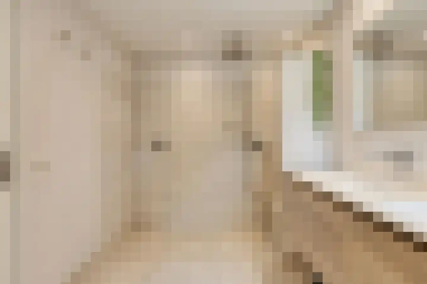 Koriander 8 Sint-Oedenrode thumbnail 69