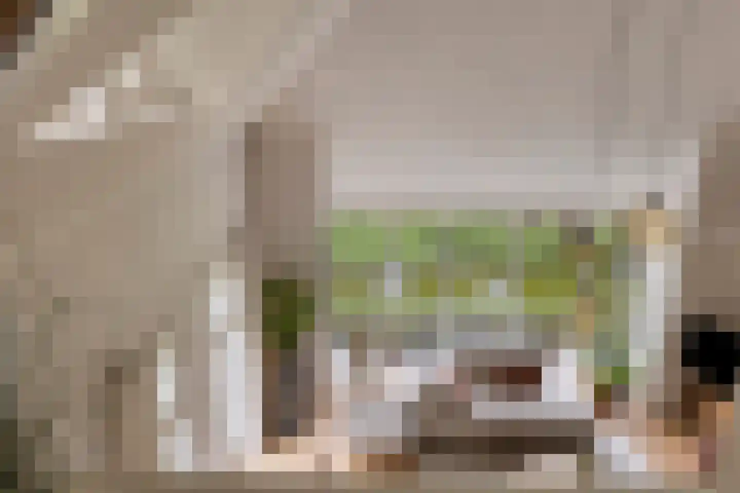 Koriander 8 Sint-Oedenrode thumbnail 77