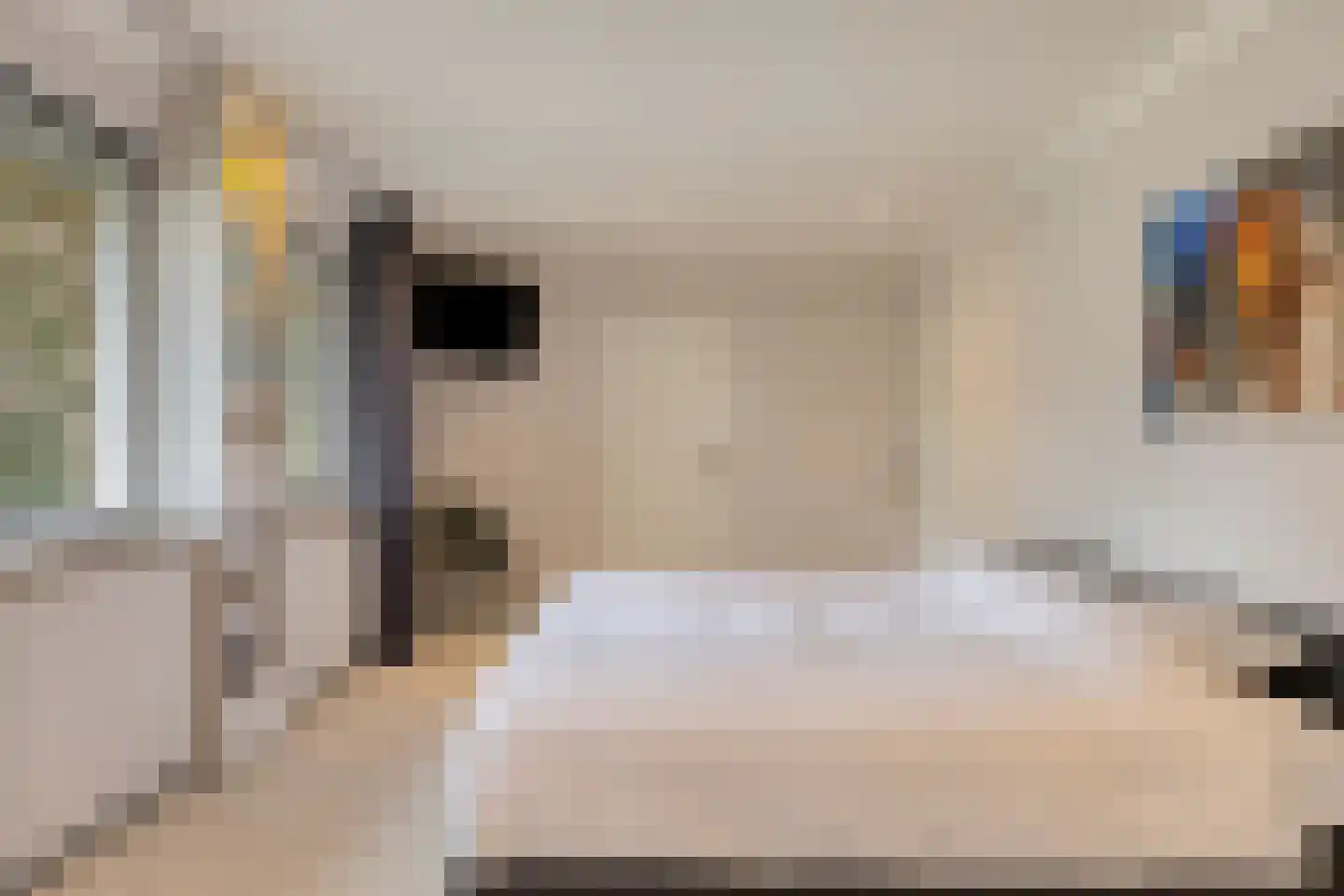 Koriander 8 Sint-Oedenrode thumbnail 8