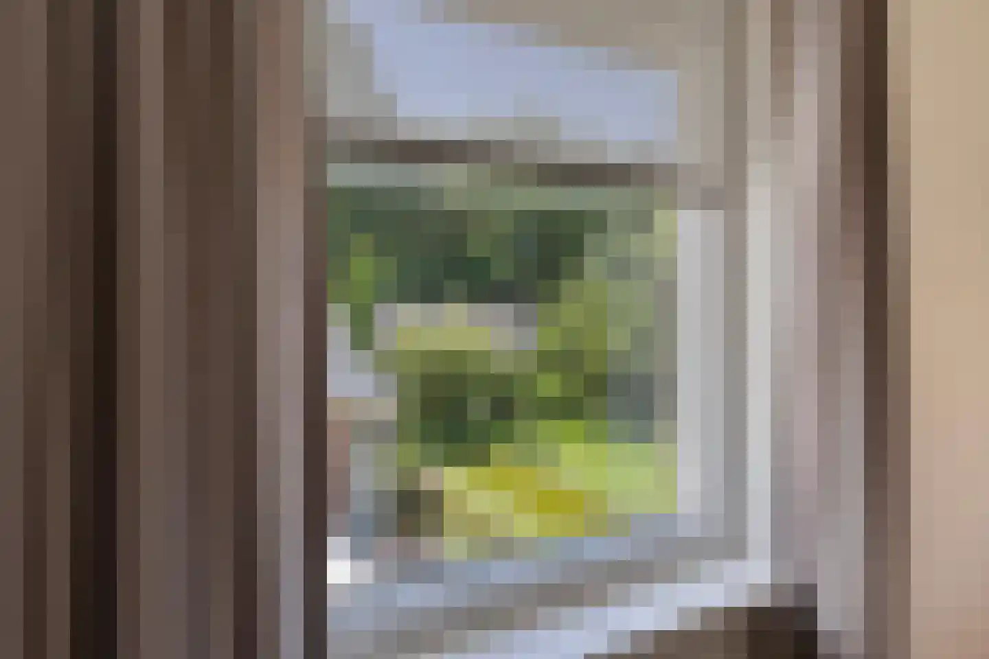 Koriander 8 Sint-Oedenrode thumbnail 83
