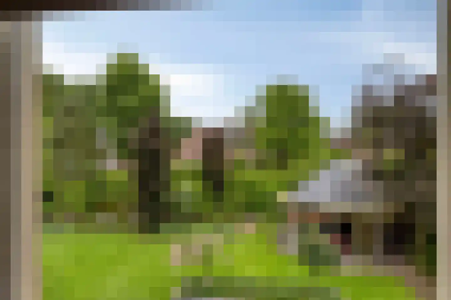 Koriander 8 Sint-Oedenrode thumbnail 84