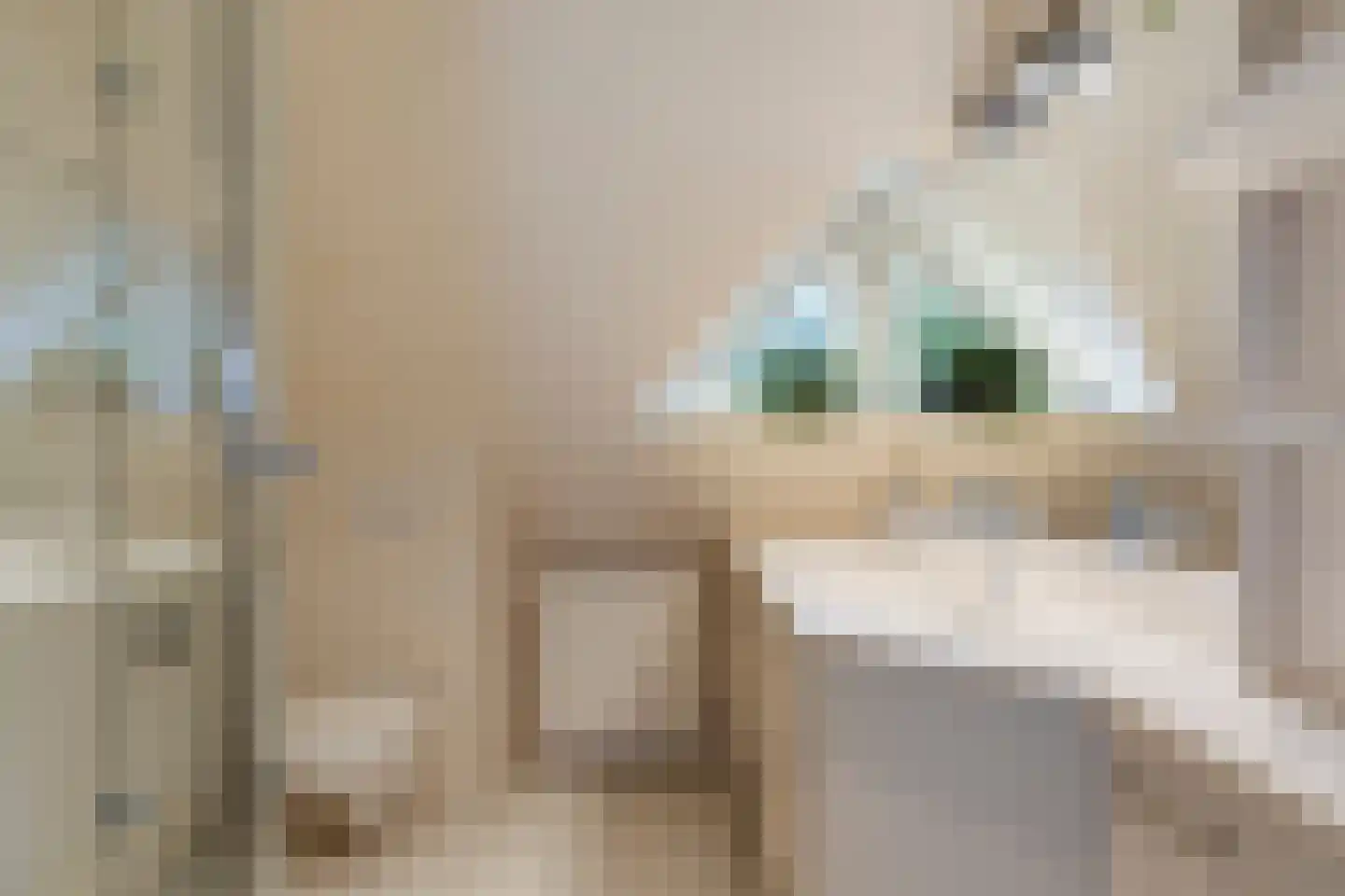 Koriander 8 Sint-Oedenrode thumbnail 88